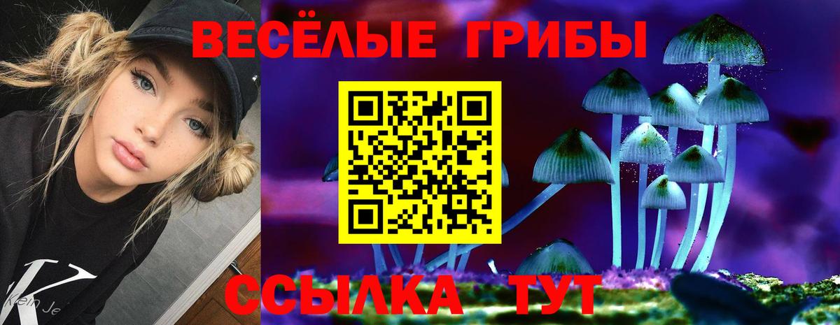 Псилоцибиновые грибы мухоморы Строитель