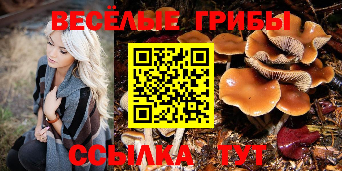 Галлюциногенные грибы MAGIC MUSHROOMS  Вход с VPN  Строитель 